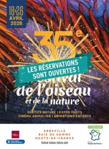 Le festival de l'oiseau et de la nature en Baie de Somme, un incontournable